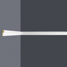 Provbit Vägglist Z363